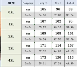 Plus Size Women Dress Elegant Mesh Dress