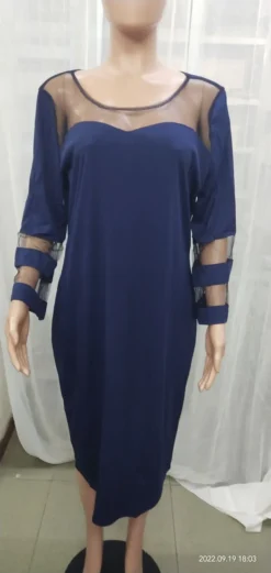 Mesh Patchwork Plus Size Women's Bodycon Dress