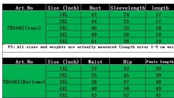 Plus Size Women Solid Top And Pant Two-piece Set