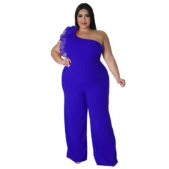 Plus Size Ladies One Shoulder Mesh Wide Leg Pants -Plus Size Dresses Shop b379267bb84341ee